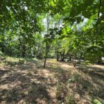 Propiedad en Venta Escuintla