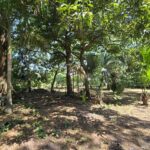 Propiedad en Venta Escuintla