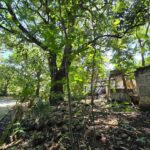 Propiedad en Venta Escuintla